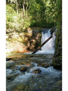 Waterfalls Underway