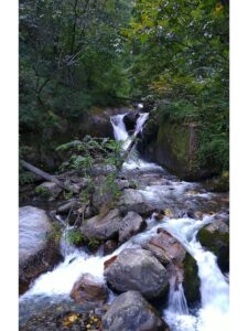 Water Streams