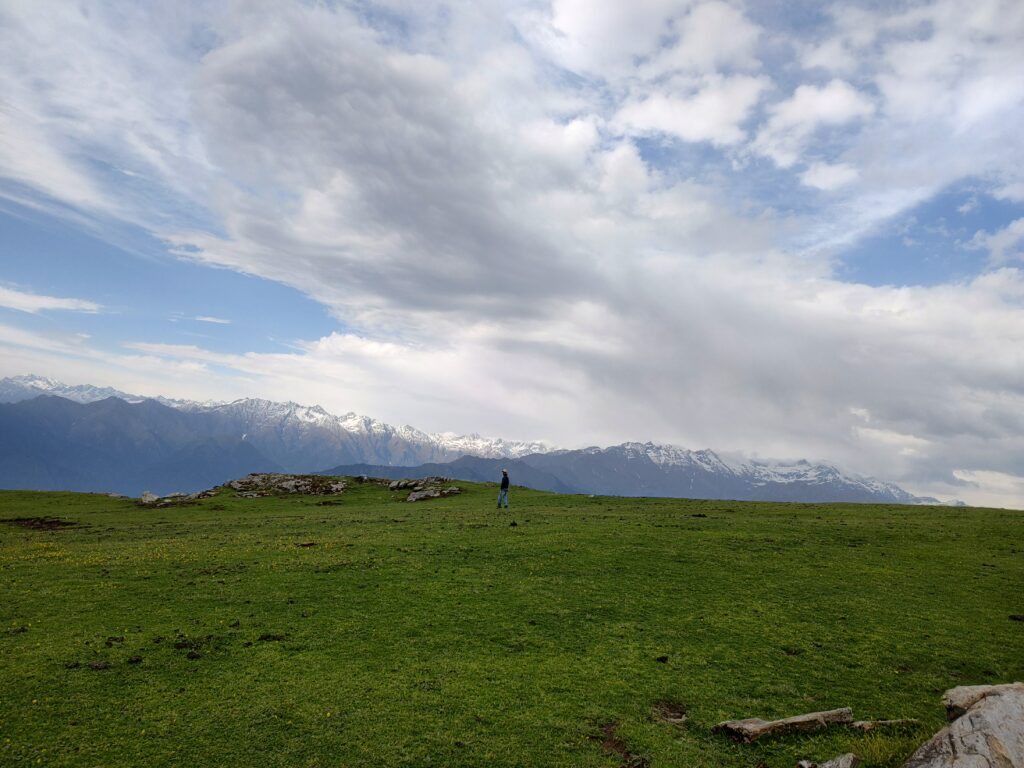 Lambri top 