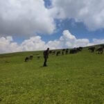 Shepherd route